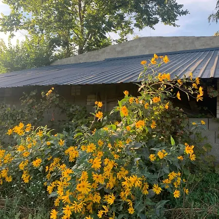 Helles Dachzimmer * Schenkendobern