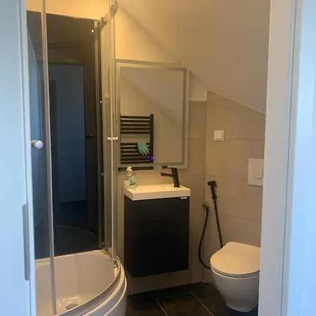 Helles Dachzimmer Schenkendobern