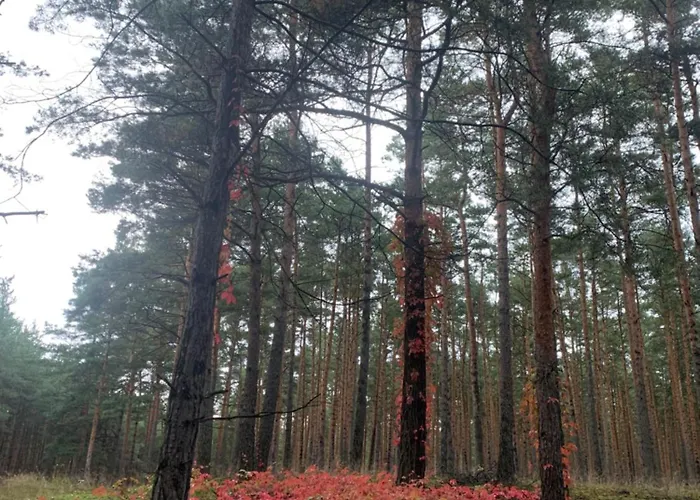 Helles Dachzimmer Privatunterkunft *