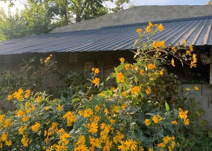 Helles Dachzimmer * Schenkendobern